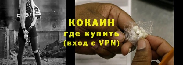 твердый Аркадак