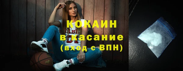 PSILOCYBIN Бородино