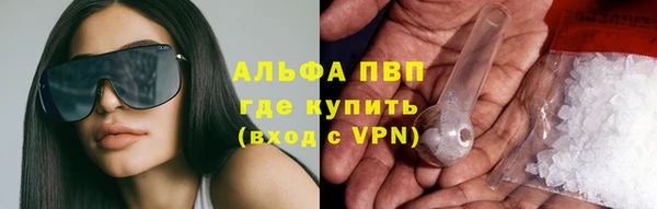 PSILOCYBIN Бугульма