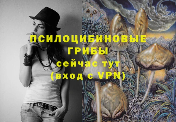 твердый Аркадак