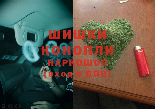 PSILOCYBIN Бородино