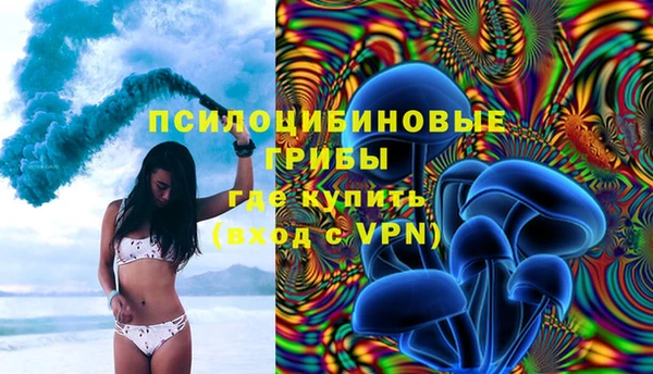 винт Богородицк