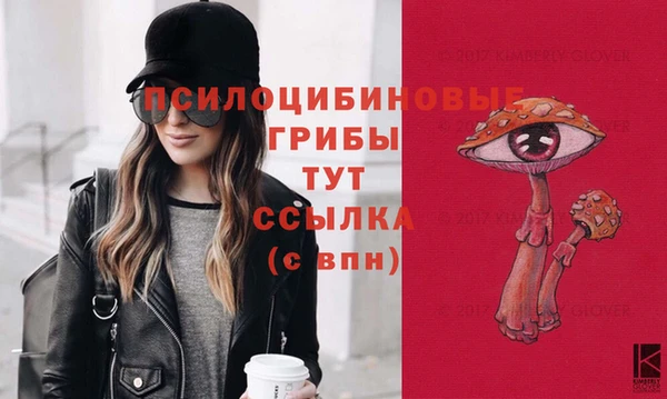 МДПВ Арсеньев