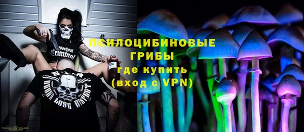 винт Богородицк